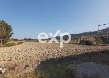 Villa Via Gallo, Davoli - foto 15