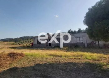 Villa Via Gallo, Davoli - foto 20