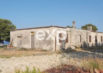 Villa Via Gallo, Davoli - foto 22