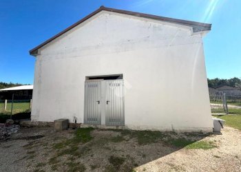 Villa Via Corriera Antica, Ravenna (neighborhood Casal Borsetti) - photo 21