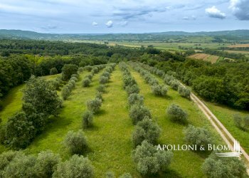 Villa Unifamiliare Via Vannucci, Città della Pieve - foto 45