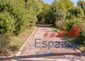 Portion of a house Grizzana Morandi - photo 33