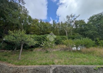 Villa Via Monte San Giacomo, Cogorno - foto 39