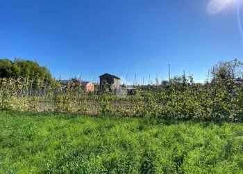 Rustico Via Boettola Il Traversa, Sarzana - foto 4