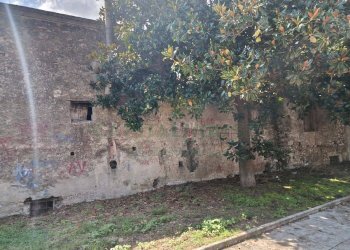 Foto 6 - Casa semi indipendente via casale di Basso, Montoro - foto 6