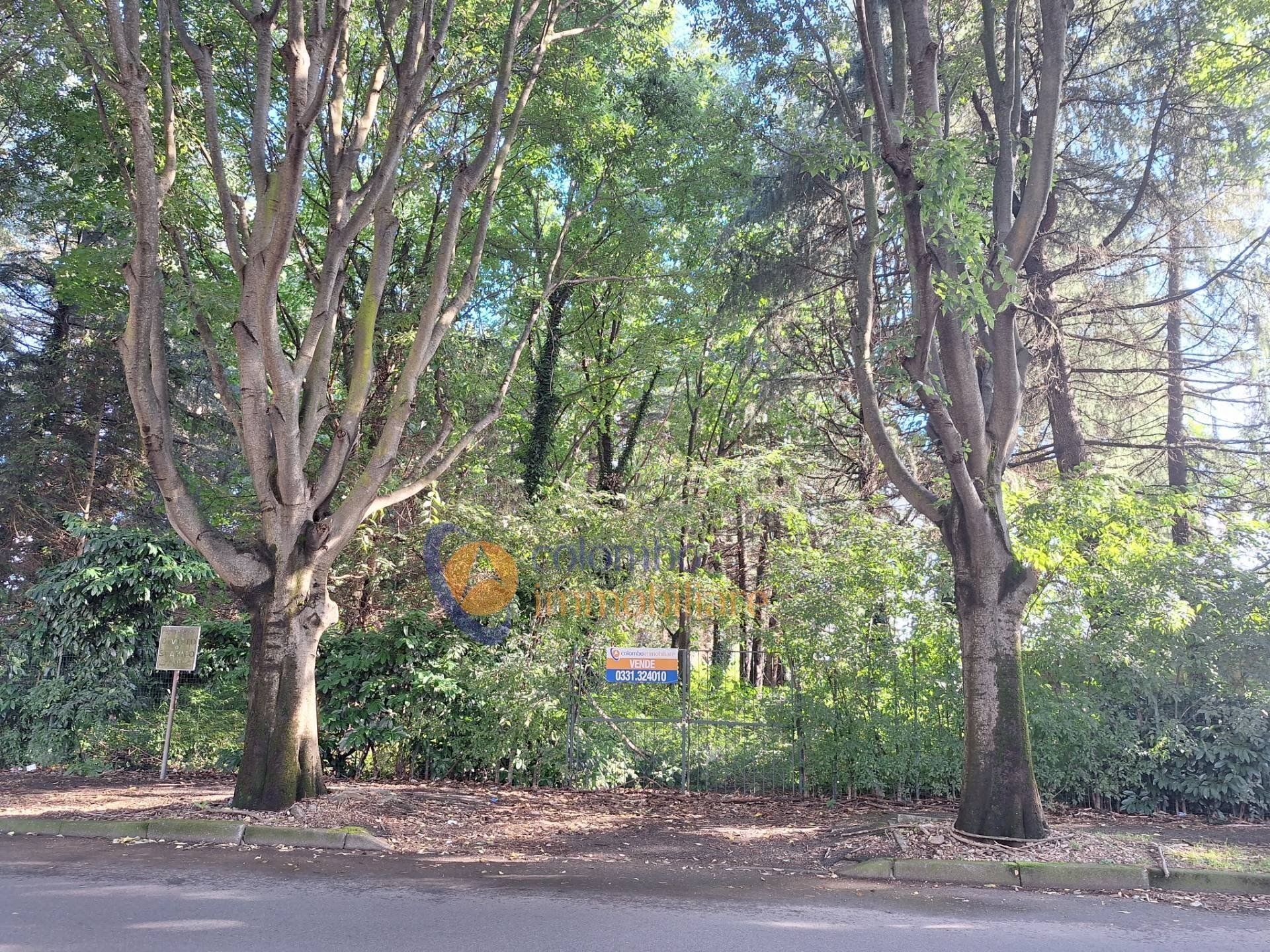 Foto 2 - Terreno edificabile via Toniolo, Busto Arsizio - foto 2