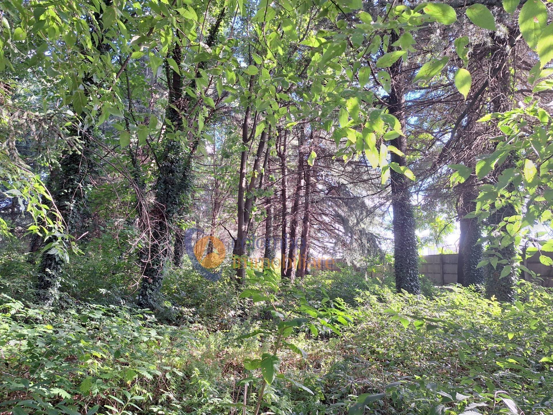 Foto 3 - Terreno edificabile via Toniolo, Busto Arsizio - foto 3