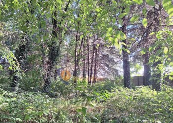 Foto 3 - Terreno edificabile via Toniolo, Busto Arsizio - foto 3