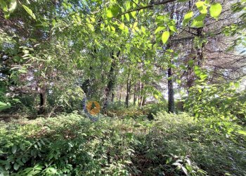 Foto 4 - Terreno edificabile via Toniolo, Busto Arsizio - foto 4