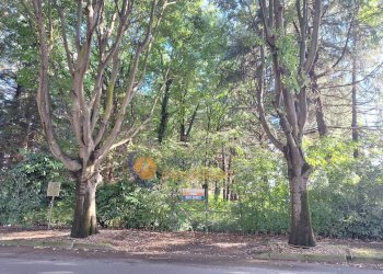 Foto 8 - Terreno edificabile via Toniolo, Busto Arsizio - foto 8