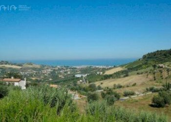 Foto 6 - Terreno edificabile Contrada Fonte Pezzana, Via degli Ulivi
 
12, Acquaviva Picena - foto 6