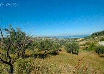 Foto 7 - Terreno edificabile Contrada Fonte Pezzana, Via degli Ulivi
 
12, Acquaviva Picena - foto 7