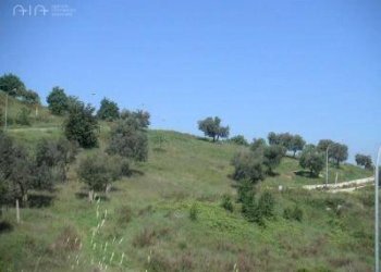 Foto 8 - Terreno edificabile Contrada Fonte Pezzana, Via degli Ulivi
 
12, Acquaviva Picena - foto 8
