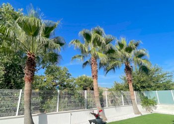 Foto 89 - Villa a Schiera Via Domanico Scarlatti
 
32 / 34, San Benedetto del Tronto - foto 89