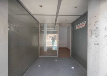 Foto 1 - Azienda agricola CORSO GARIBALDI, Porto San Giorgio - foto 1