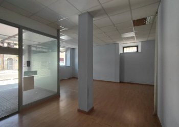 Foto 3 - Azienda agricola CORSO GARIBALDI, Porto San Giorgio - foto 3