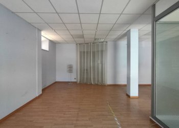 Foto 4 - Azienda agricola CORSO GARIBALDI, Porto San Giorgio - foto 4