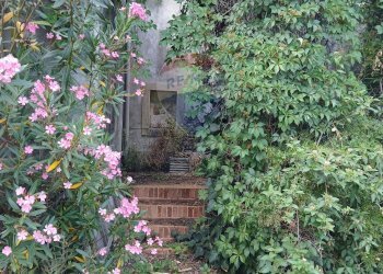 Giardino - Terreno agricolo Strada N. 21 Franca, 7, Riposto - foto 3