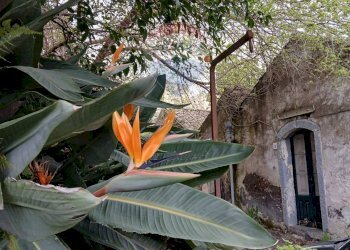 Dettagli - Terreno agricolo Strada N. 21 Franca, 7, Riposto - foto 9