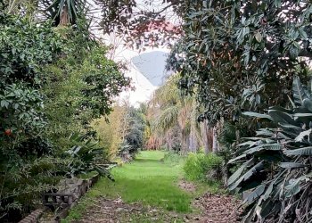 Giardino - Terreno agricolo Strada N. 21 Franca, 7, Riposto - foto 12