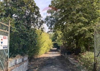 Giardino - Terreno agricolo Strada N. 21 Franca, 7, Riposto - foto 21