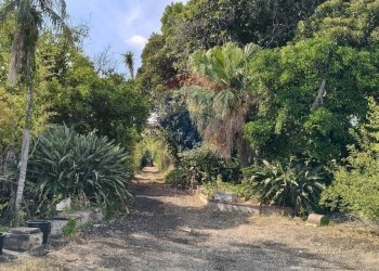 Giardino - Terreno agricolo Strada N. 21 Franca, 7, Riposto - foto 25