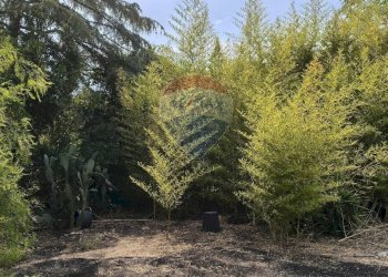 Giardino - Terreno agricolo Strada N. 21 Franca, 7, Riposto - foto 26