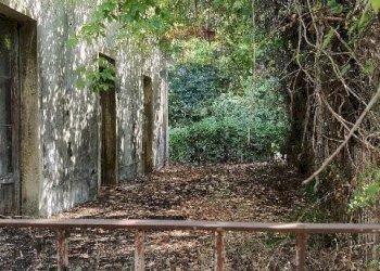 Giardino - Terreno agricolo Strada N. 21 Franca, 7, Riposto - foto 30