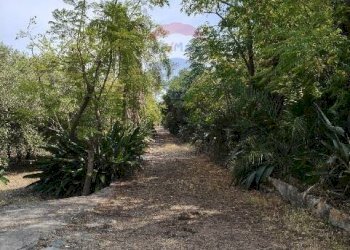 Giardino - Terreno agricolo Strada N. 21 Franca, 7, Riposto - foto 35