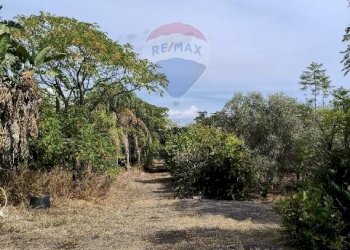 Giardino - Terreno agricolo Strada N. 21 Franca, 7, Riposto - foto 36