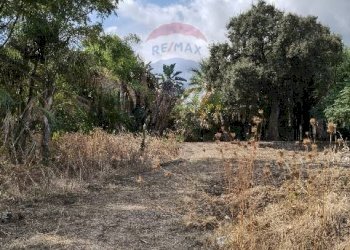 Giardino - Terreno agricolo Strada N. 21 Franca, 7, Riposto - foto 40