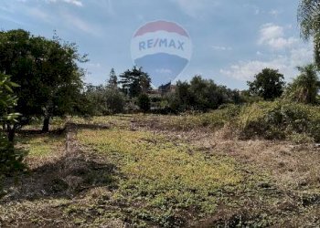 Giardino - Terreno agricolo Strada N. 21 Franca, 7, Riposto - foto 44