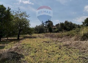 Giardino - Terreno agricolo Strada N. 21 Franca, 7, Riposto - foto 47