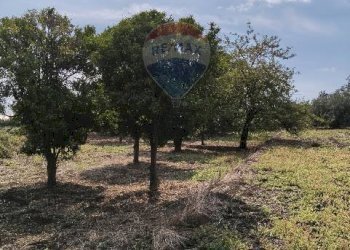 Giardino - Terreno agricolo Strada N. 21 Franca, 7, Riposto - foto 48