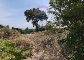 Vista delle montagne - Terreno agricolo Strada N. 21 Franca, 7, Riposto - foto 49