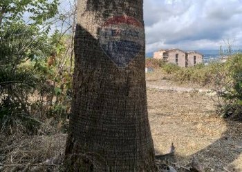 Non correlato - Terreno agricolo Strada N. 21 Franca, 7, Riposto - foto 50