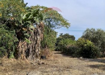Giardino - Terreno agricolo Strada N. 21 Franca, 7, Riposto - foto 51