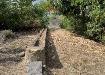 Giardino - Terreno agricolo Strada N. 21 Franca, 7, Riposto - foto 53