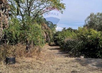 Giardino - Terreno agricolo Strada N. 21 Franca, 7, Riposto - foto 54