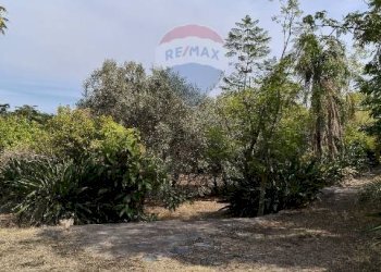 Giardino - Terreno agricolo Strada N. 21 Franca, 7, Riposto - foto 55