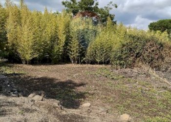 Giardino - Terreno agricolo Strada N. 21 Franca, 7, Riposto - foto 56