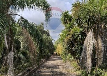 Giardino - Terreno agricolo Strada N. 21 Franca, 7, Riposto - foto 58