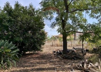 Giardino - Terreno agricolo Strada N. 21 Franca, 7, Riposto - foto 63