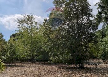 Giardino - Terreno agricolo Strada N. 21 Franca, 7, Riposto - foto 66