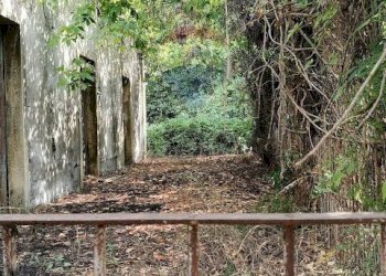 Giardino - Terreno agricolo Strada N. 21 Franca, 7, Riposto - foto 73