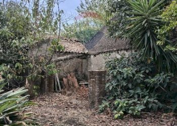 Giardino - Terreno agricolo Strada N. 21 Franca, 7, Riposto - foto 75