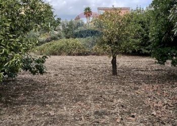 Giardino - Terreno agricolo Strada N. 21 Franca, 7, Riposto - foto 76