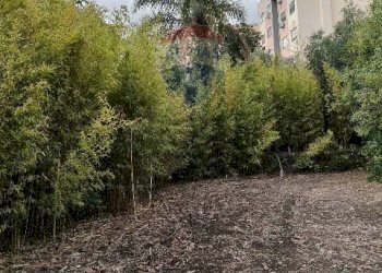 Giardino - Terreno agricolo Strada N. 21 Franca, 7, Riposto - foto 77