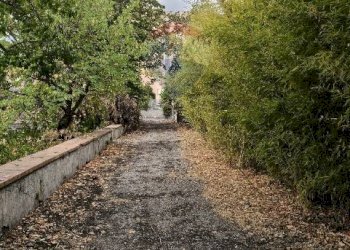 Giardino - Terreno agricolo Strada N. 21 Franca, 7, Riposto - foto 79