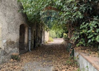 Giardino - Terreno agricolo Strada N. 21 Franca, 7, Riposto - foto 84